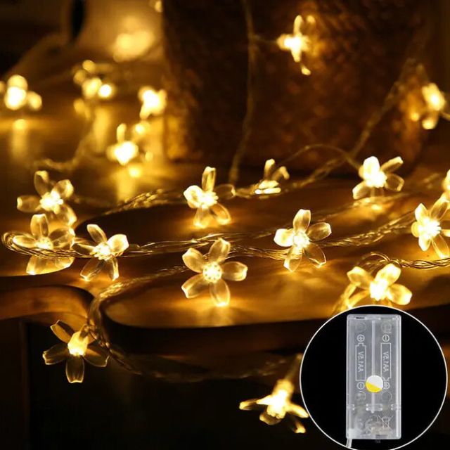 Santa Lichter | Magische LED Weihnachtsbeleuchtung für festliche Eleganz