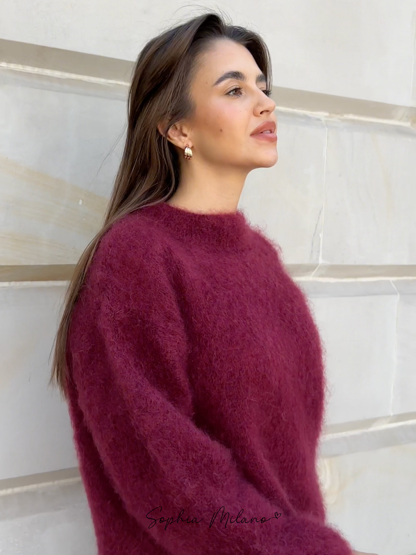 Sophia Mohair Rollkragenpullover mit klassischem Strickmuster