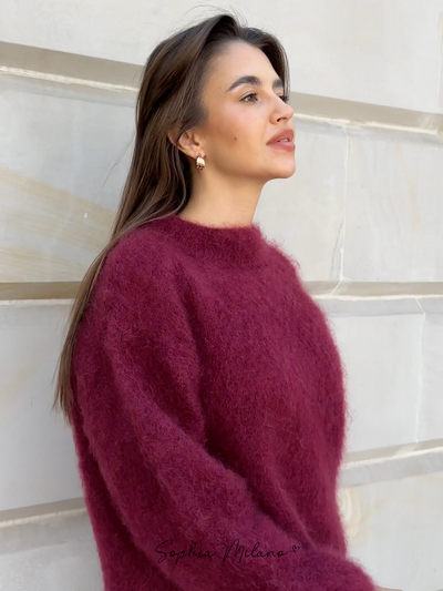 Sophia Mohair Rollkragenpullover mit klassischem Strickmuster