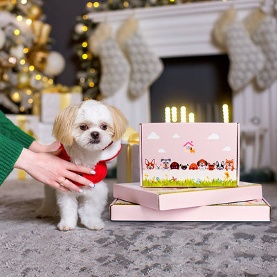 Blumentopf im Weihnachtsmann-Design