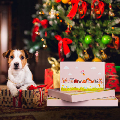 Blauer Katzen-Blumentopf